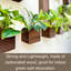 Wood Wall Planter