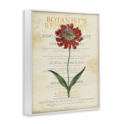 Fleur sur une page rétro, estampe numérique, design par Susan Arnot