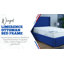 Gremillion Wingback Ottoman Storage Bed - Plush Velvet Gas Lift Bed Frame with Headboard-593091914-593091917