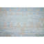 Oriental Area Rug in Aqua/Beige-72344286
