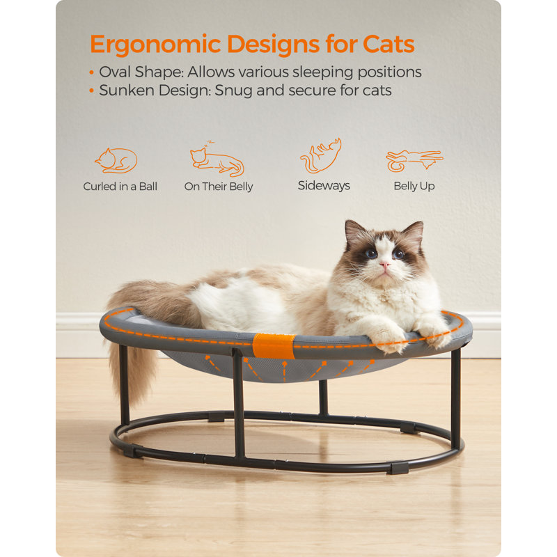 Elevated Pet Bed, 20cm H x 62cm W x 42cm D