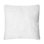 Arctic Fox Pillow Cover & Insert