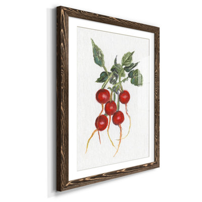 Garden Fresh Radishes - Single Picture Frame Print