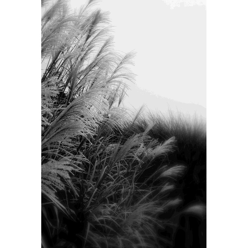 Photographie / Paysage 182, H 18 po x l 12 po