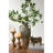 Terracotta Amphora Vase