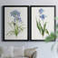 «Blue Lived Botanical I», ensemble de 2 reproductions d'art sur toile encadrées-61455435-61455439
