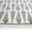Asante Hand Knotted Wool Geometric Area Rug in Ivory-2013823117