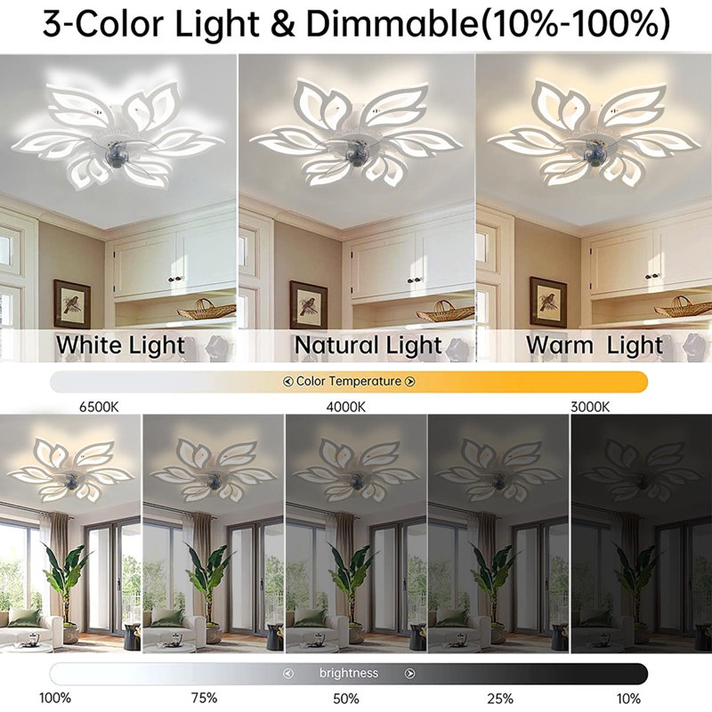 Ceiling Fan with LED Lights, White