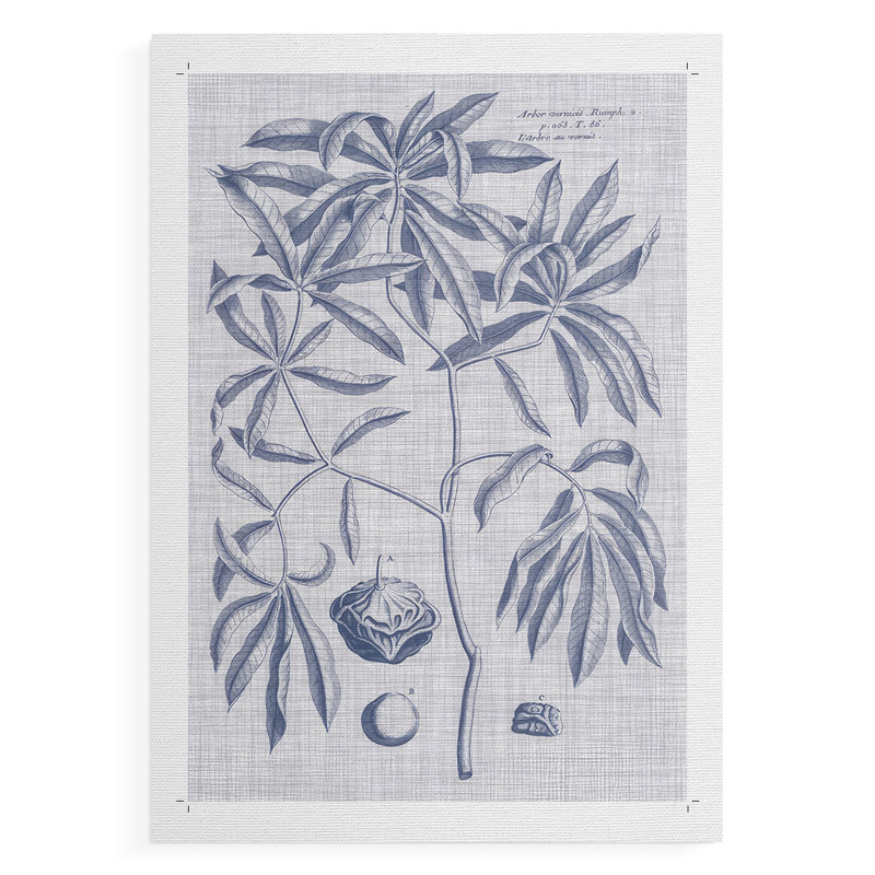 Marine et lin botanique V - reproduction de toile seulement - non encadrée, H 36 po x l 24 po