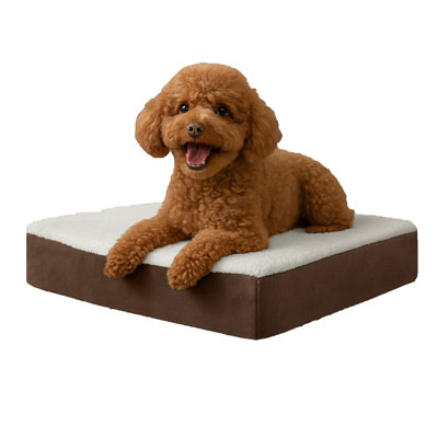 PETMAKER 2-Layer Orthopedic Dog Bed - 20x15 Pet Bed for Small Dogs , Brown