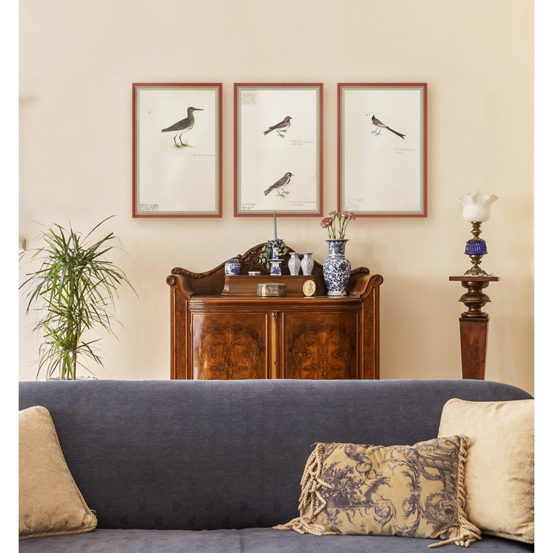 18th Century Bird Re-Strikes II Painting by Olaf Rudbeck