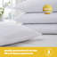 Silentnight Essential Pillows