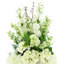 Arrangement floral Delphinium, hortensia et fougère dans un grand vase en verre