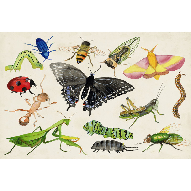 Bugdom I by Alicia Ludwig -  Painting, 61 cm H x 91 cm W, Wrapped Canvas