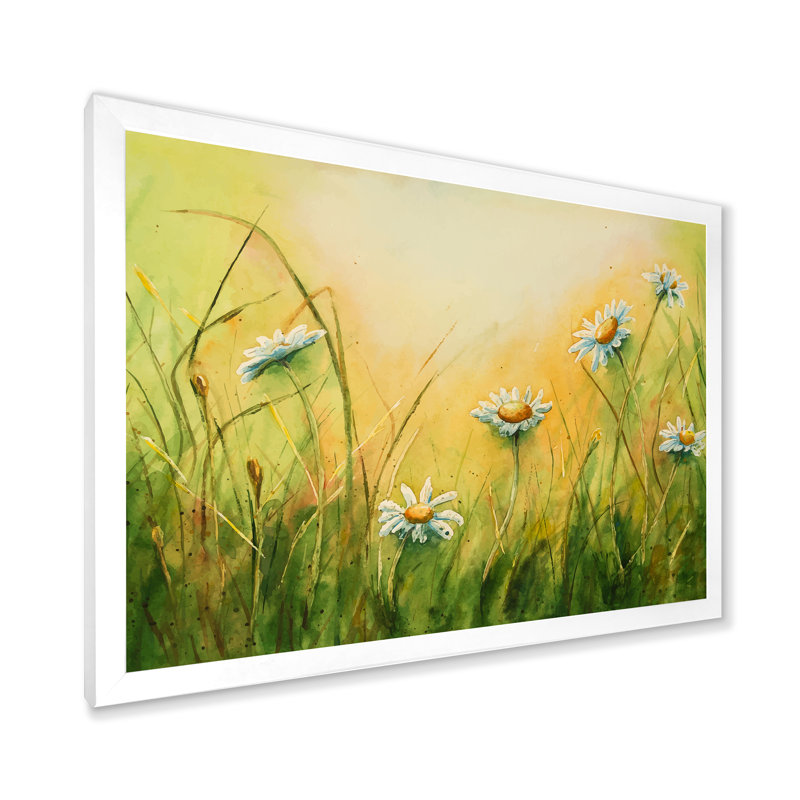 «Sunset Field with Camomiles and Herbs», peinture sur toile, H 12 po x l 20 po x p 1 po, Cadre photo blanc