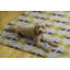 Kivett Ivory/Yellow/Blue Indoor/Outdoor Washable Rug-2124040173