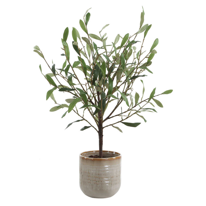 Uttermost Solea Olive Accent & Textured Vase