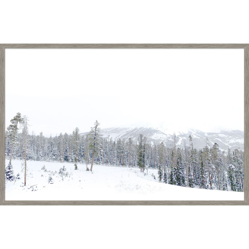 Winter White 1 Print by Thom Filicia