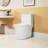 1.1/1.6 GPF Elongated Comfort Height Super Quite Flushing Floor Mounted One-Piece Toilet