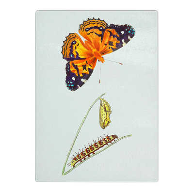 Tempered Glass Caterpillar and Painted Lady Butterfly by George Shaw Chopping Board