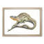 Lizard by Johan Teyler - Picture Frame Painting Print-55617607-55617610