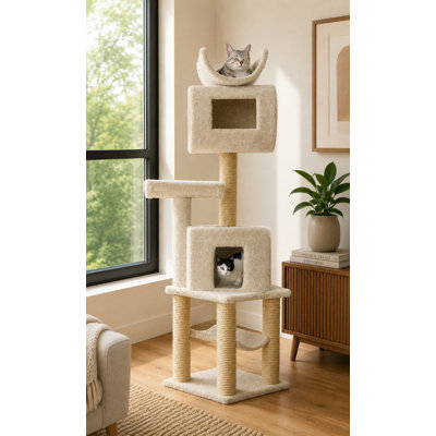 New Cat Condos