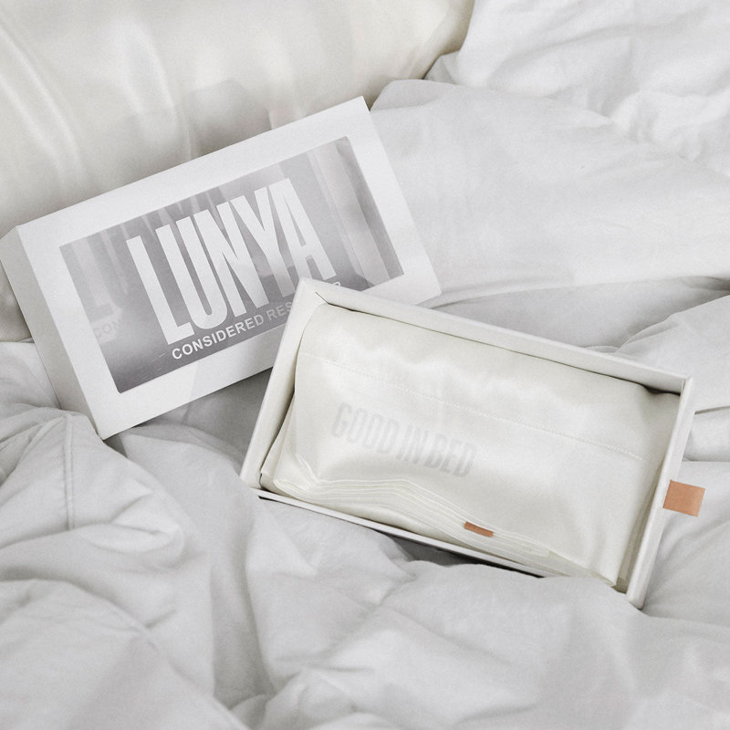 Housse de coussin en soie lavable