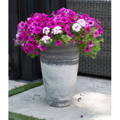 Quamaine Tall Vase Composite Pot Planter