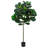62.4'' Faux Fiddle Leaf Fig Tree Tree in Cement Pot