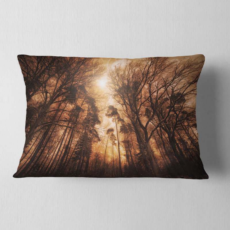 Coussin décoratif pittoresque forêt d'automne - paysage