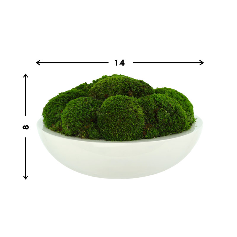 5" Artificial Moss Plant in Planter, 8" H x 14" W x 14" D