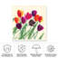 «Holland Holland Beauties» sur impression sur toile-98043833
