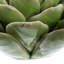 Fleur de désert en céramique Arciniega-860255304-860255305