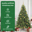 Christmas Tree-1032687374