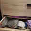 Customer photo 2 of 2