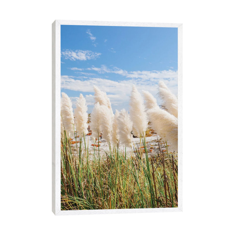 California Beach Day III by Bethany Young - Print on Canvas, 66.04cm H x 45.72cm W x 3.81cm D, White Framed