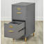 Dahle 2-Drawer Vertical File Cabinet-1912160071