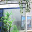 Aquarium 95-104 gallons-129676017-129676018