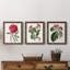 Ensemble de 3 peintures sur toile Roseat Blooms IV-1642987164-1642987160