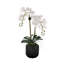 Real Touch Phalaenopsis Orchids in White Dimensional Pot-1195572954