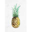 Aquarelle ananas - Toile exotique brune pour la décoration intérieure