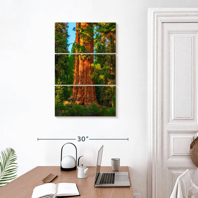 Harnek Kings Canyon Sequoia