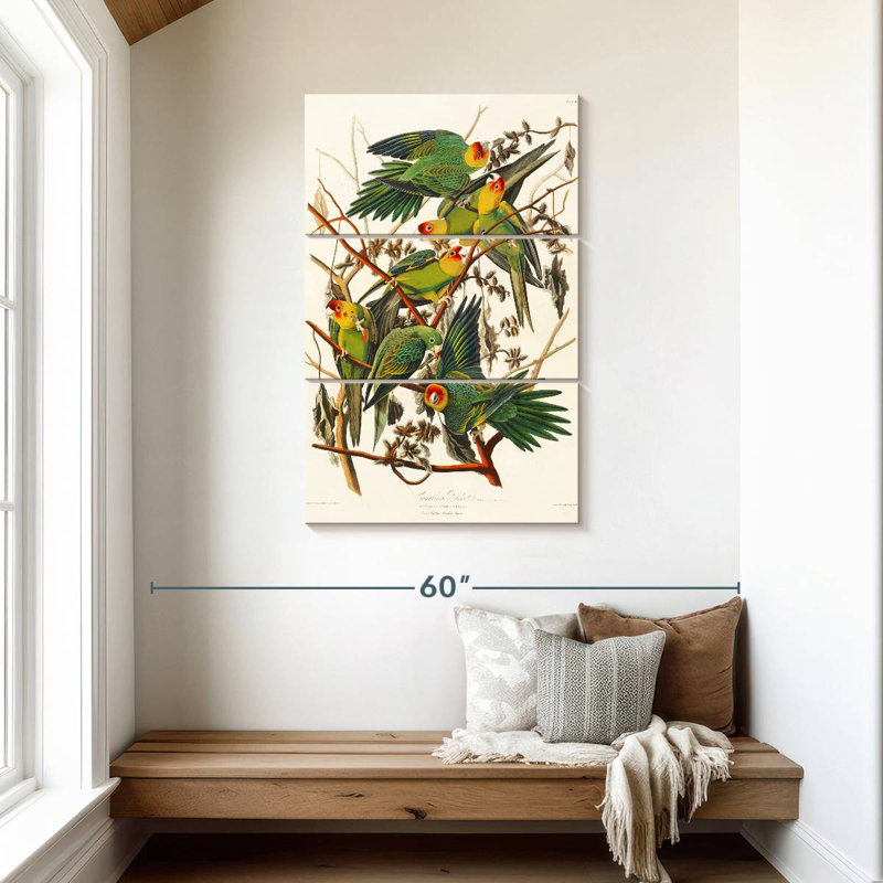 Brampt Carolina Parakeet, 45" H x 28" W