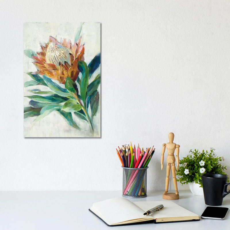 Protea by Danhui Nai - Wrapped Canvas Print, 20.32 cm H x 30.48 cm W