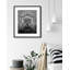 Roman Eagle Fountain - Picture Frame Photograph on Paper -74856091-87888655