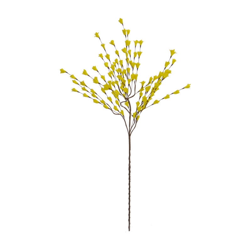 Jet forsythia, Jaune