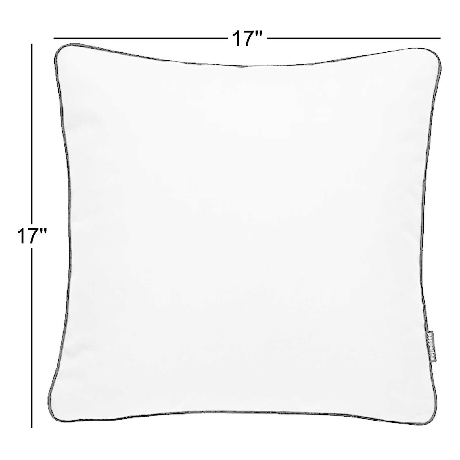 Ray Indoor/Outdoor Throw Pillow, Ivary
