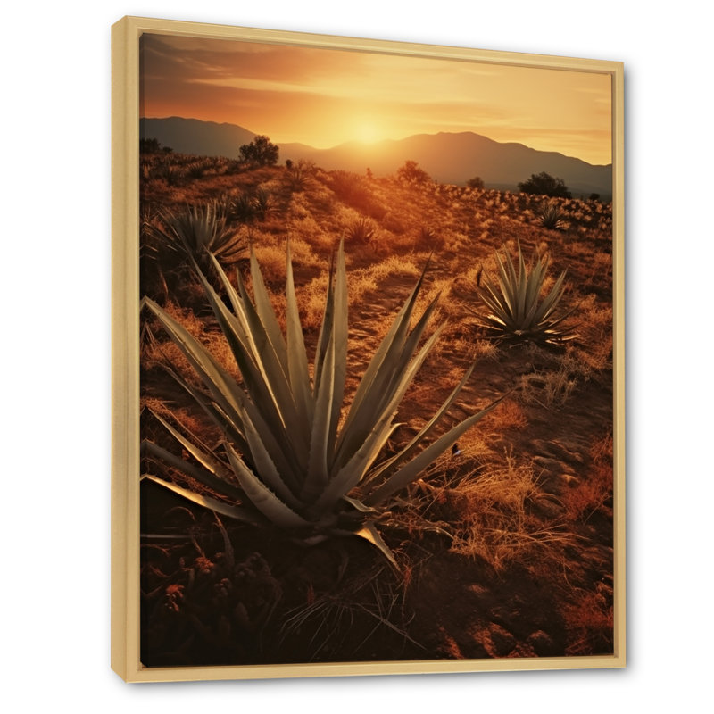 Succulent Field au Texas, H 20 po x l 12 po x P 1 po, Cadre naturel flottant