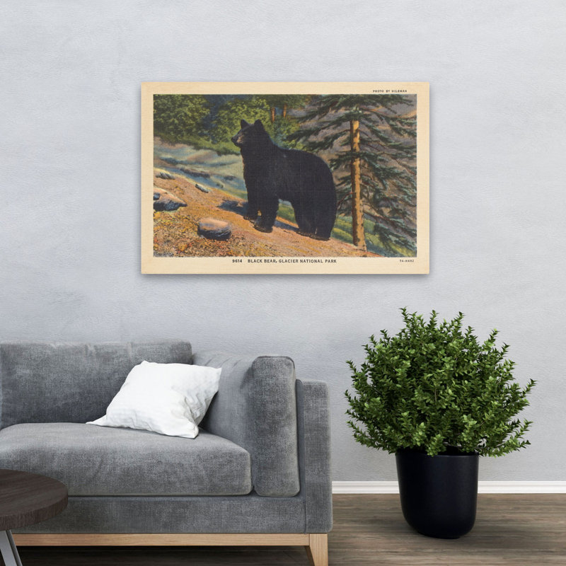 Black Bear I - 0 Art, 32" H x 48" W