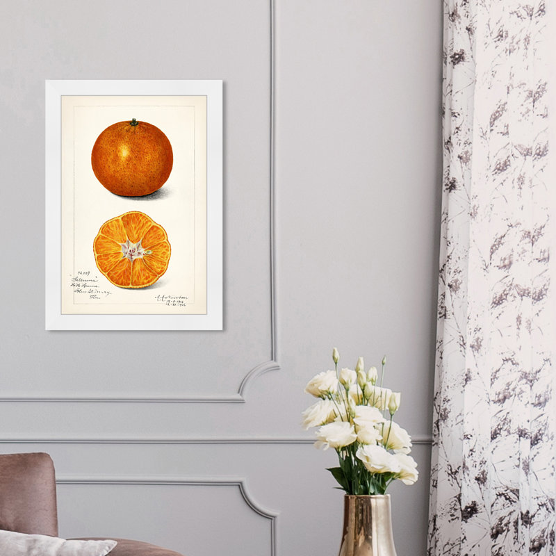 Nature morte par - reproduction de cadre photo, H 17 po x l 12 po, Blanc